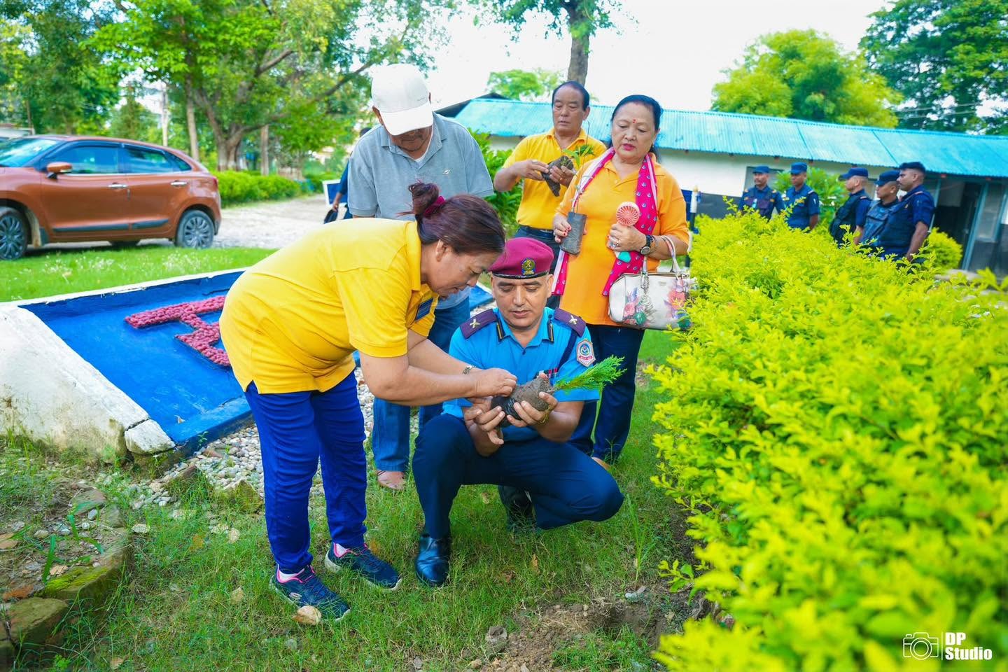 Tree Plantation Program