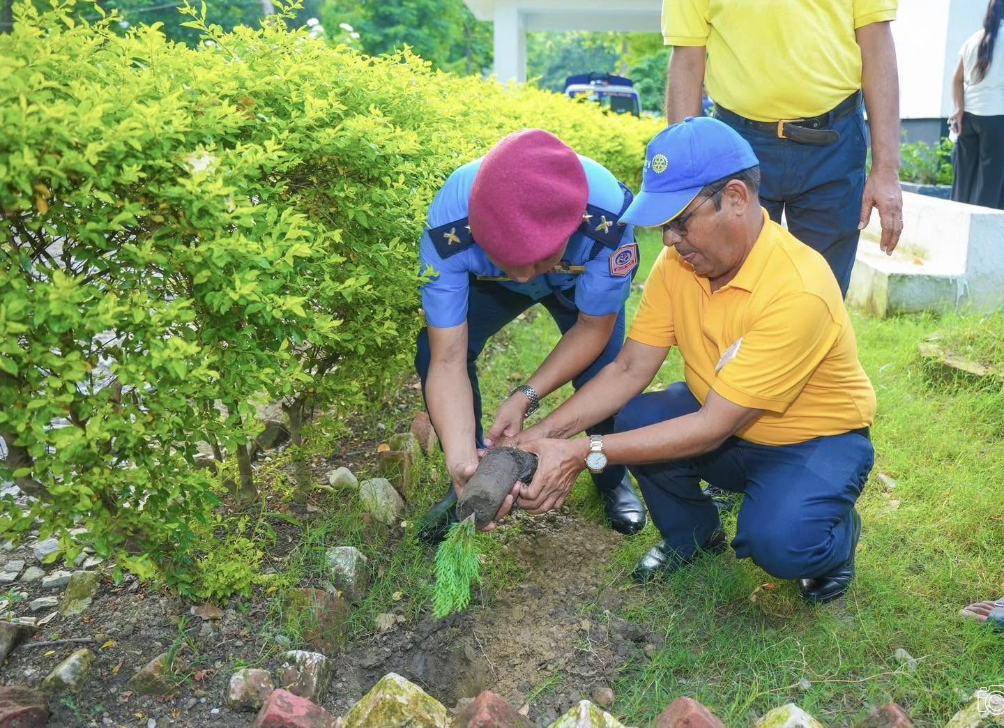 Tree Plantation Program